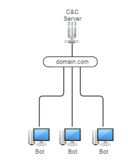 Traditional Botnet